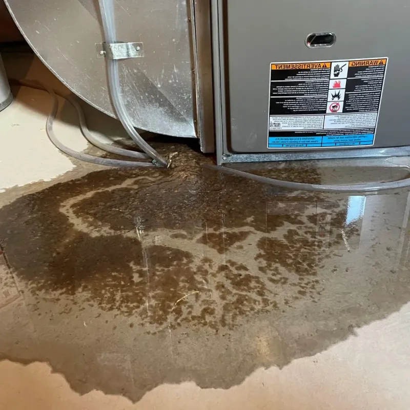 Pipe Burst and Leak Restoration in DuBois, PA
