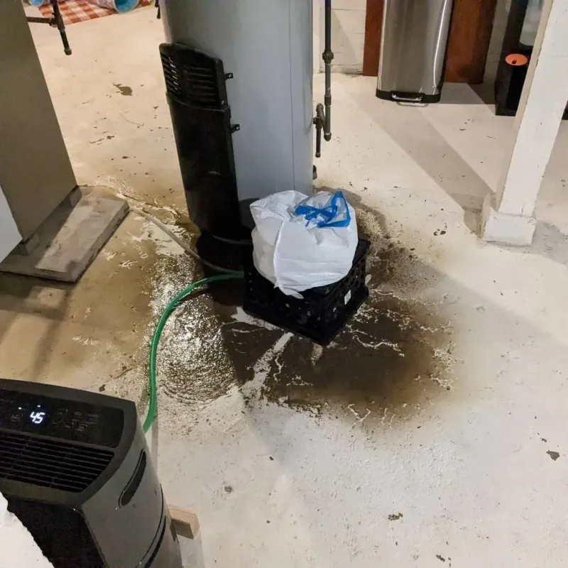 Sewage Backup Cleanup Service in DuBois, PA